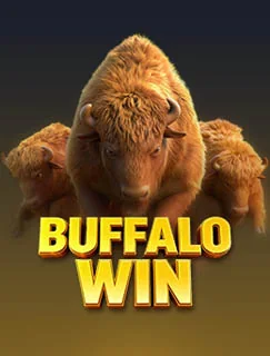 Buffalo Win app thumbnail by PG SOFT